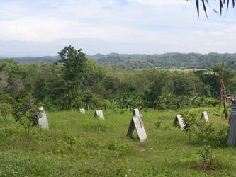 Scenic View in the Mountains