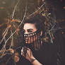 Into the woods