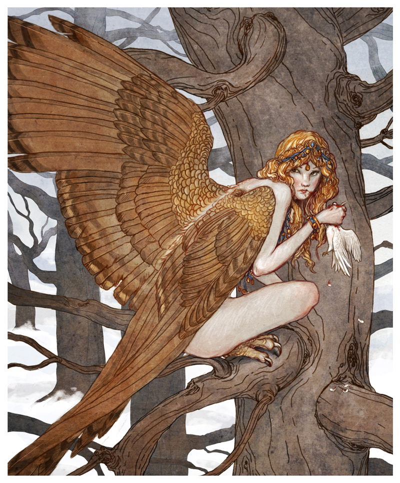 Harpy