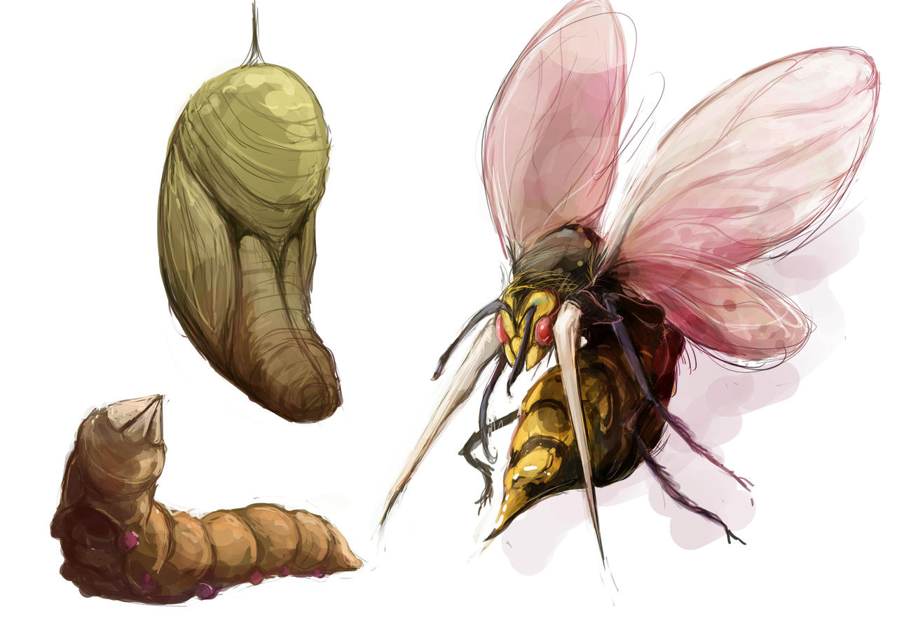 Weedle Kakuna Beedrill Art