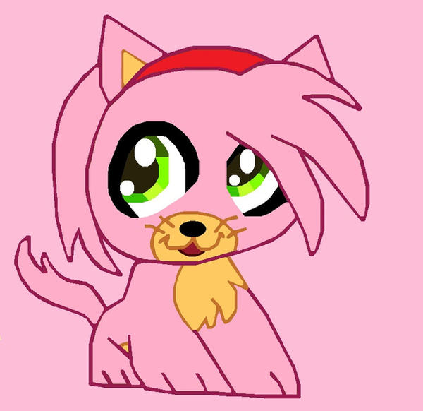 Amy Rabbit Cat Amy The Cat by Mikeylily12 on DeviantArt