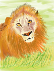 Lion