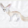 Fennec Fox