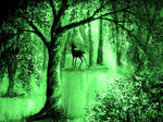 Emerald Forest by AnnMarieBone