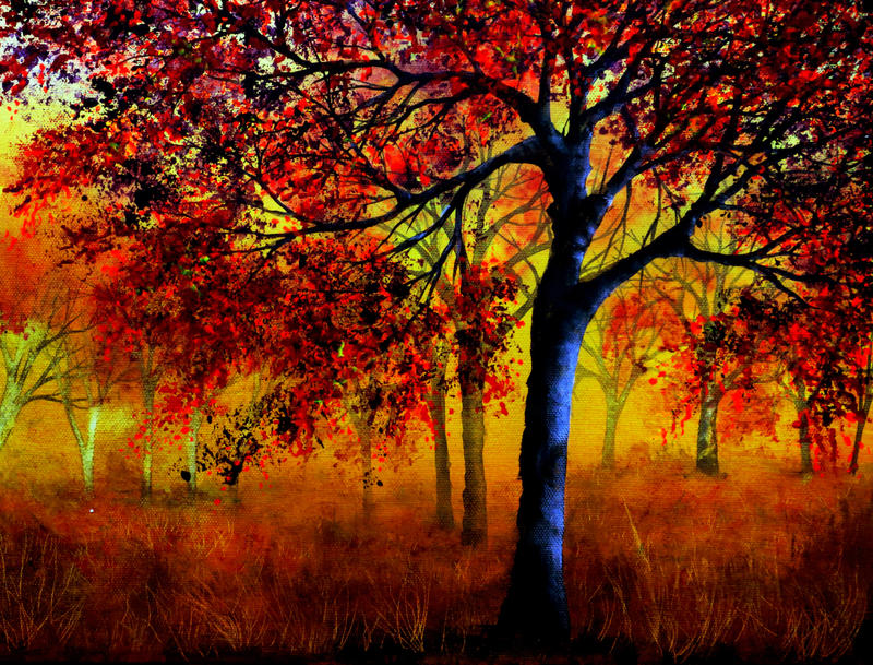 Autumn Fire
