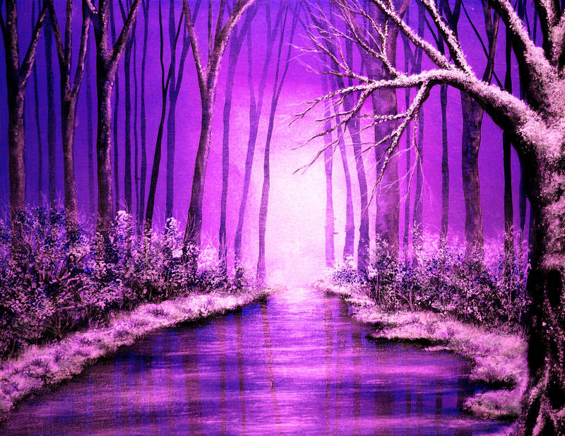 Shades of Winter by AnnMarieBone