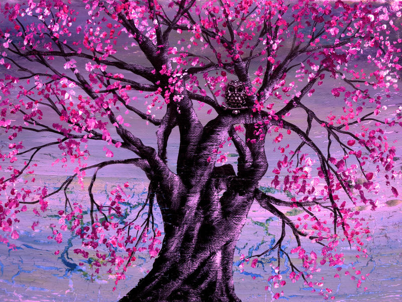 Spring Wisdom by AnnMarieBone on DeviantArt