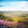Painting: Fields of Derbyshire