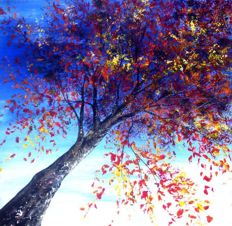 Looking Up by AnnMarieBone