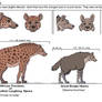 Guide to Hyenas