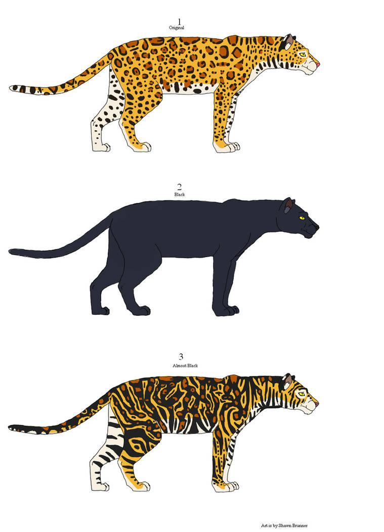 Кто сильнее ягуар или тигр. Пума Ягуар леопард пантера. Ягуар и леопард. Ягуар леопард Пума. Гепард и леопард и Ягуар и пантера.