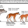 Guide to species of Canis
