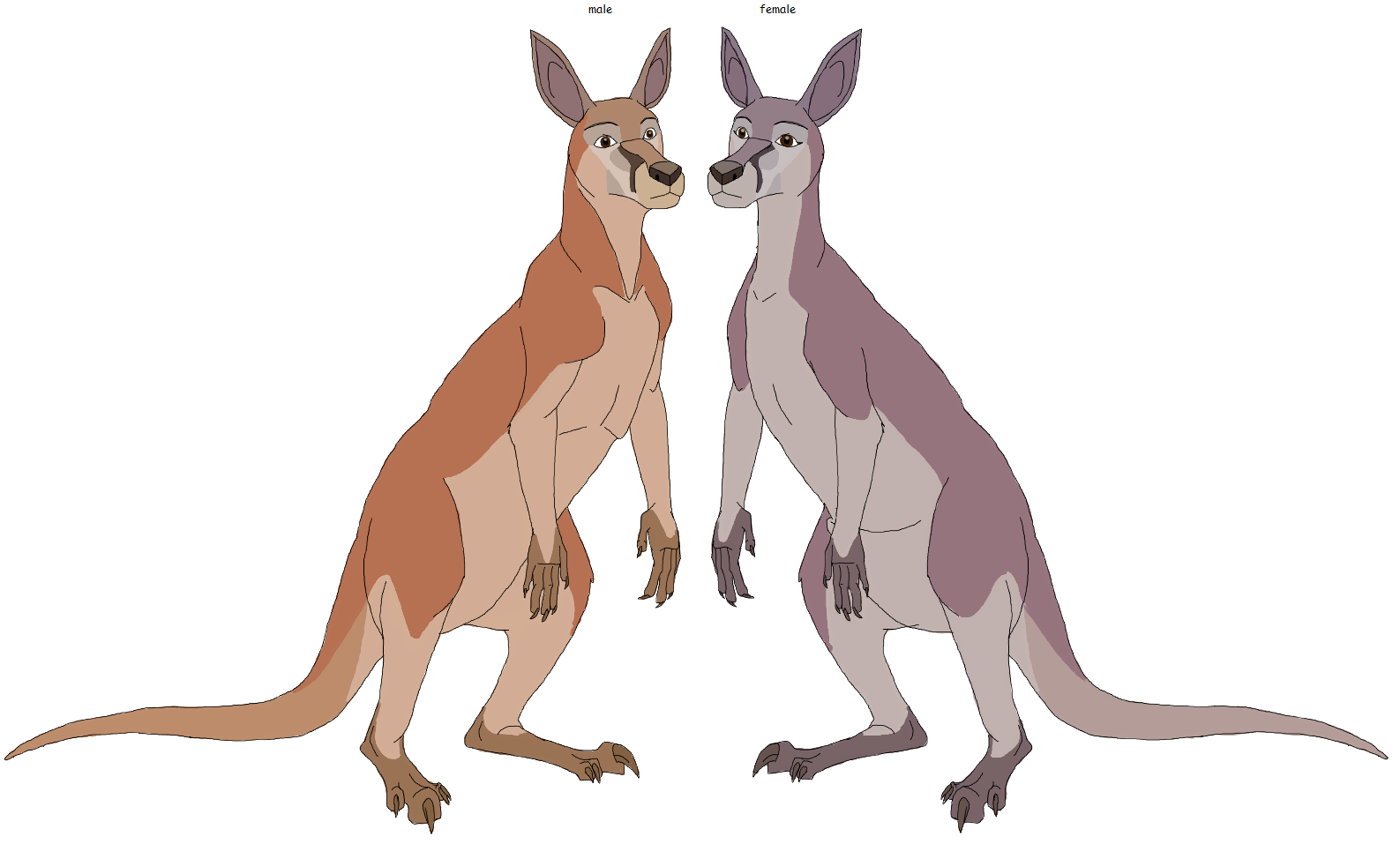Red Kangaroo by Patchi1995 on DeviantArt