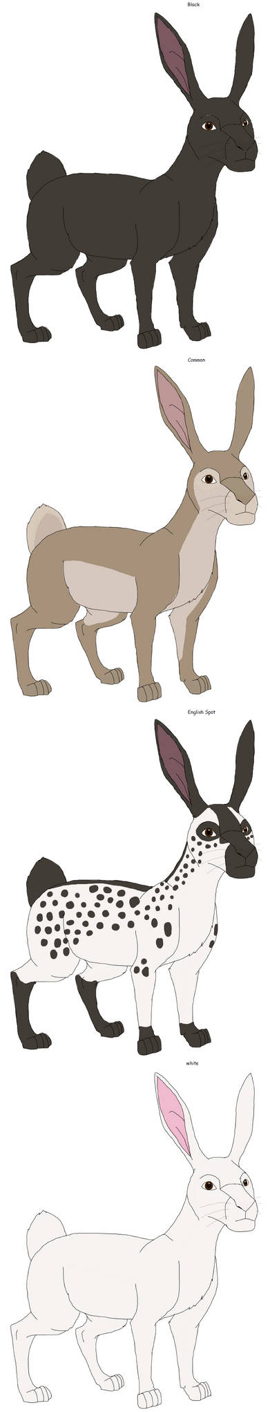 European Rabbits by Patchi1995 on DeviantArt