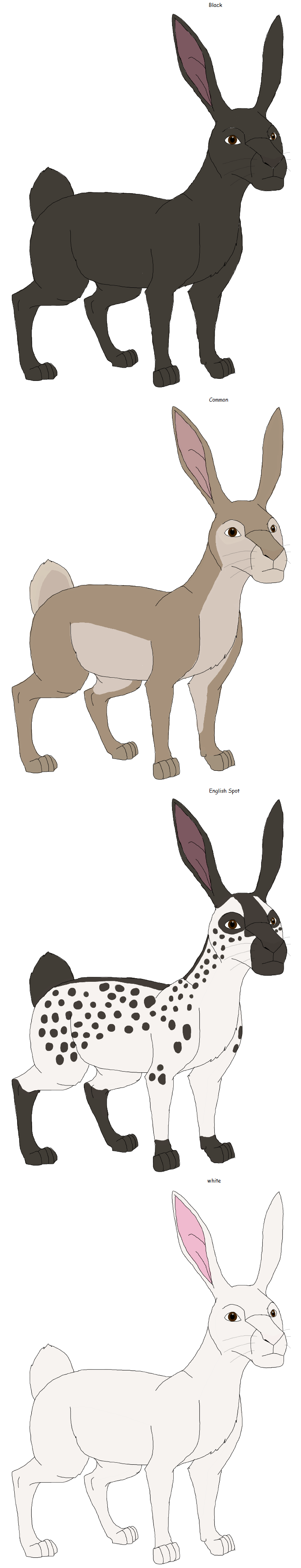 European Rabbits by Patchi1995 on DeviantArt