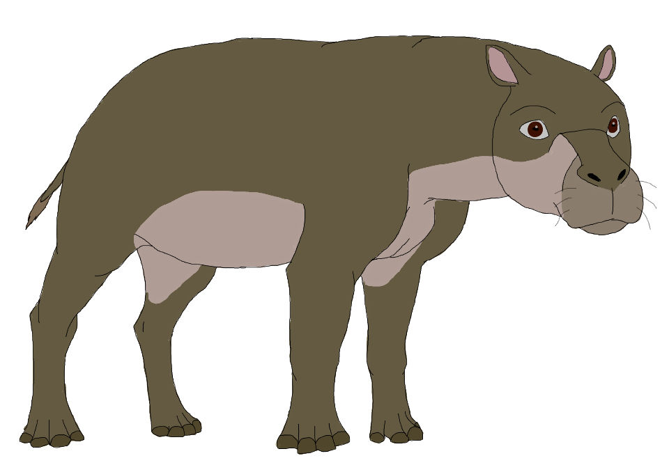 Choeropsis by Patchi1995 on DeviantArt