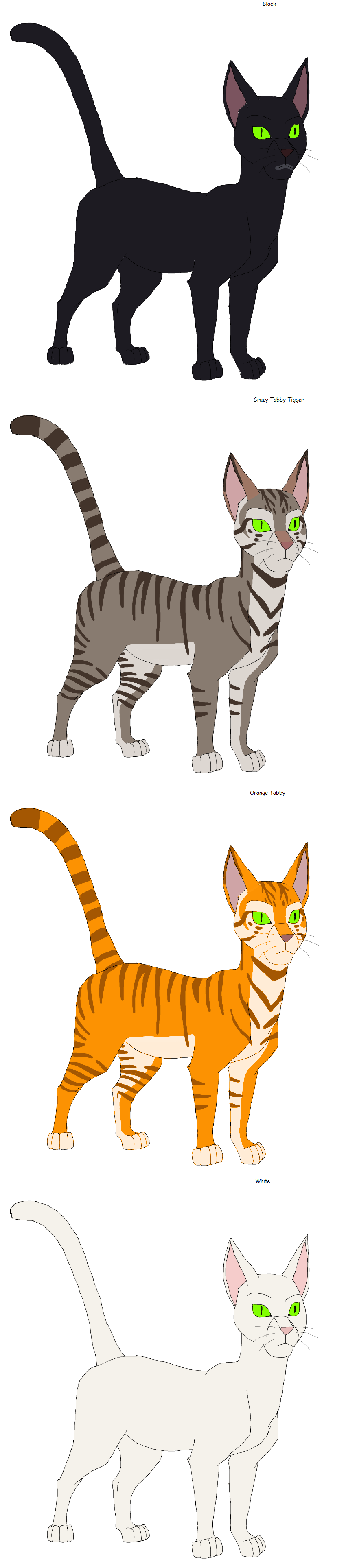 Warrior Cats: Into the Wild Designs by vanjanijanac08 on DeviantArt