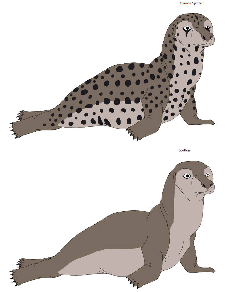 Leopard Seals by Patchi1995 on DeviantArt