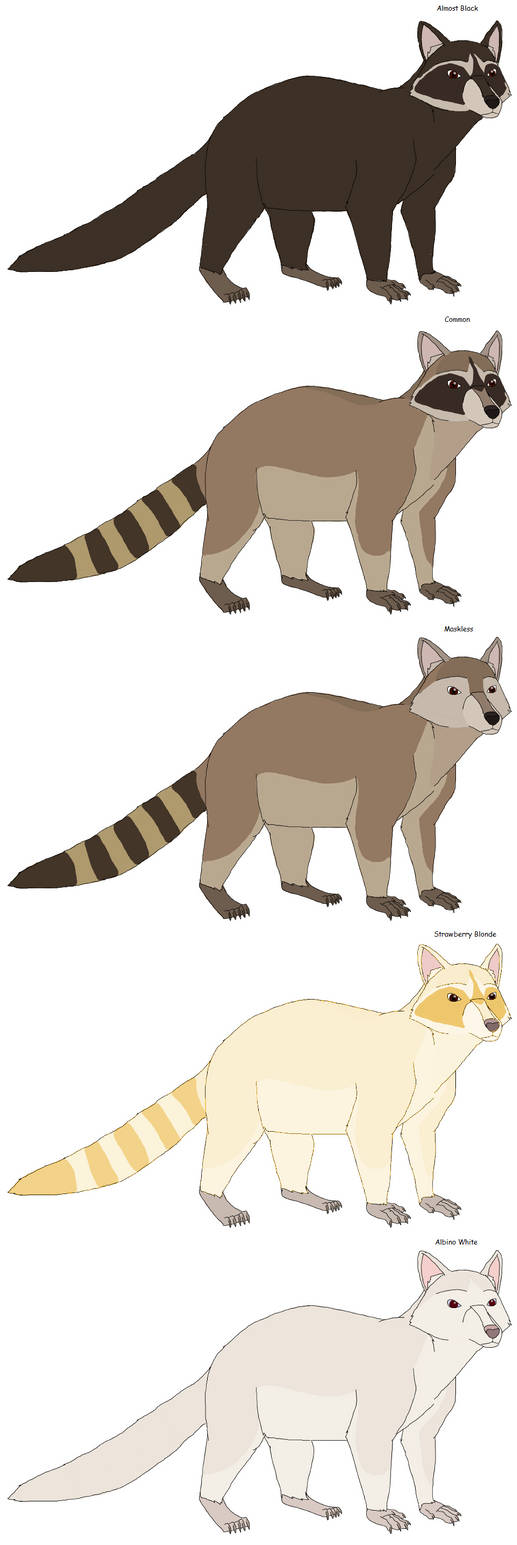Raccoons by Patchi1995 on DeviantArt