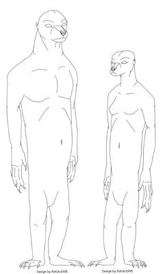 Selkies (free line-art base)