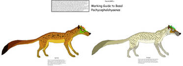 Basal Pachycephalohyaena RPG Guidelines 3