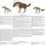 Patchi1995's African Hyaenid species tutorial