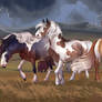 The Wild Ones