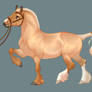 Teddy Cob Mare, Fox