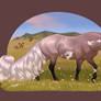 May - KVNO Commission