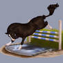 Tyree Showjumping