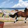 Teddy Cob Water Bucket Relay