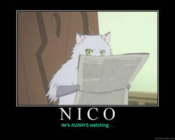 MP: Nico