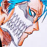 Grimmjow 16