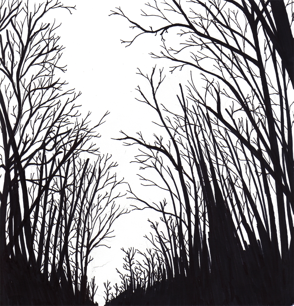 Dark Forest