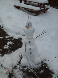 Hi, im Olaf, and I like warm hugs!