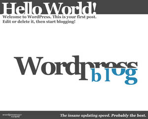 Wordpress Typo