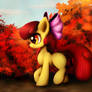 Apple bloom and autumn leafs