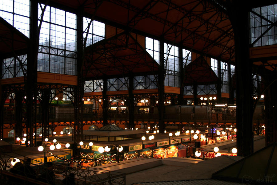 Market Hall in Budapest