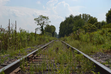 Train Tracks to Nowhere