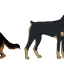 GSD and Dobe Designs for Livid
