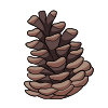 Pinecone by Puppapedia