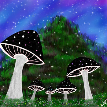 Mushroom Forest