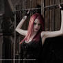 Dark Angel-2