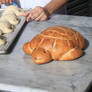 Turtle Sourdough Bread