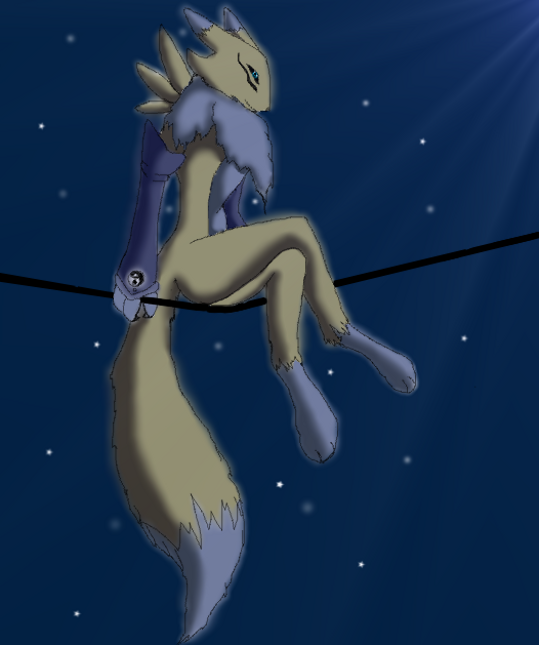 Renamon at Night