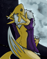 Renamon at night II