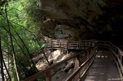 Audra Boardwalk