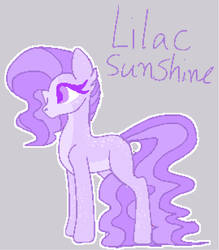 Lilac Sunshine