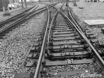 tracks in Texas.