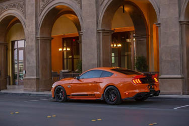 2020 Shelby SuperSnake